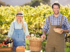 Dofinansowanie do agroturystyki w ramach LGD: skąd uzyskać wsparcie?