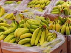 Epoka tanich bananów dobiega końca. Zmiany klimatu zmienią zasady na rynku