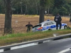 Radiowóz w rowie po spotkaniu z sarną – szczęśliwy finał groźnej sytuacji pod Bolesławcem