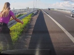 Dwa owczarki na drodze ekspresowej – policjantka w cywilu zapobiegła tragedii