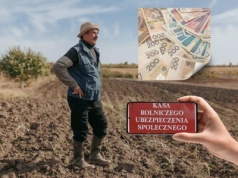 42 mln zł z KRUS dla rolników. Za co najczęściej dostają odszkodowania?