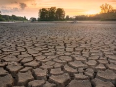 Dolnośląski Urząd Wojewódzki ostrzega: susza hydrologiczna w całym regionie
