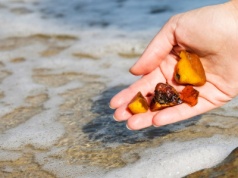 Wiele osób zbiera go nad Bałtykiem. Niektórym grożą wysokie mandaty