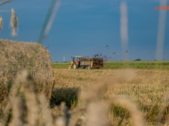 Ośrodki Doradztwa Rolniczego – most między urzędem a rolnikiem