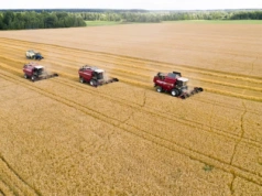 Ukraina bliżej UE. We wrześniu start negocjacji o rolnictwie
