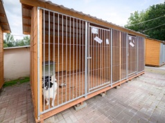 Koniec remontu w łódzkim schronisku dla zwierząt. „Dajemy szansę na nowe, lepsze życie zwierzaków”