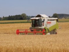 MARS podnosi prognozę plonów pszenicy miękkiej w UE do 6,15 t/ha