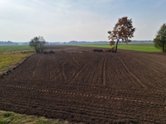 132 hektary znowu do sprzedaży na Mazurach. Przetarg powtórny, ale cena bez zmian