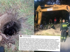 Szuminka: strażacy i bohaterski operator koparki uratowali konia ze studni