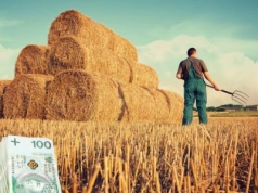 Dotacje z ARiMR. Rolnicy dostaną informację zwrotną