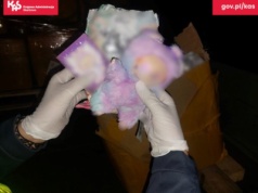 Celnicy zatrzymali kontrabandę z Labubu i Lafufu, nie ujawniono Tralalelo Tralala