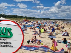 Tak oszukują pracodawców i ZUS.. Pracownicy 