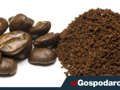 Kawa dramatycznie drożeje. „Dwucyfrowe wzrosty”