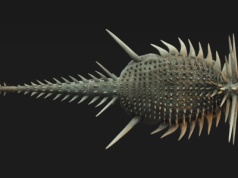 To się nazywa zbroja. Ten ankylozaur bije swoich następców na głowę