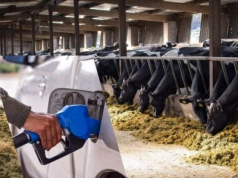 Zwrot akcyzy: Rolnicy nie dostaną więcej paliwa. Dlaczego?