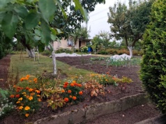 Zatrzymany sprawca serii włamań na terenie ogródków działkowych