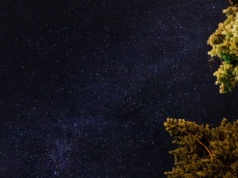 Kosmiczny motyl okiem Webba – detale zachwycą każdego