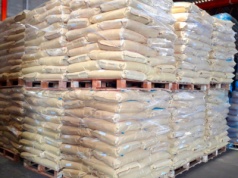 Spór o ryż między Japonią a USA. Negocjacje wstrzymane