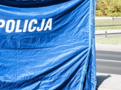 Zmieniali koło na pasie awaryjnym. Śmiertelny wypadek z udziałem ciężarówki