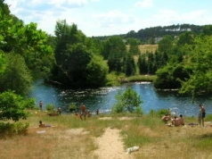 Dzika plaża ukryta w środku lasu. Idealne miejsce na weekendowy spacer