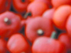 Jesień w kuchni, czyli dynia i patison na talerzu