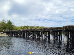 Skoczył do wody nad rozlewiskiem Wisły. "Błagam, ja nie chcę skończyć na wózku"