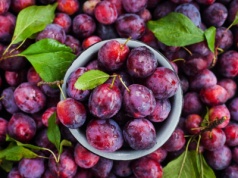 Ile kalorii ma banan, jabłko, arbuz, rodzynka? Sprawdź i porównaj. Oto kalorie pod lupą