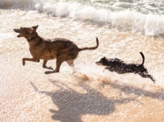 Szukający własnego „M” nie ucieszą się. Mniejsze miasta w pogoni za metropoliami