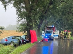 Auto wbiło się w drzewo. Nie żyje 30-letni obcokrajowiec