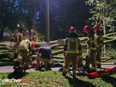 Kraków. Drzewo przewróciło się na kobietę