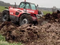 Ile kosztuje obornik? Jaka jest jego wartość nawozowa?