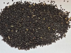 Louis Dreyfus Company przejmuje Zakłady Tłuszczowe w Bodaczowie