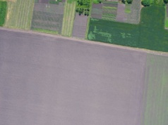 Satelitarne monitorowanie upraw — sprawdź poprawność deklaracji