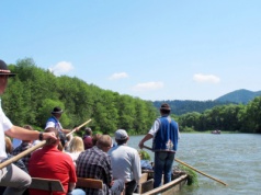 Nagle wyrosła na słowackim brzegu Dunajca. Flisacy podnieśli alarm