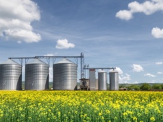 Finał megafuzji Bunge z Viterra. Louis Dreyfus Company przejmuje ZT w Bodaczowie