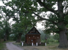Spacer wśród wodospadów i dębów sprzed wieków. Najlepsze miejsca na jednodniowy reset