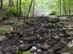 Susza w gminie Żegocina. Wodę transportowali żołnierze WOT