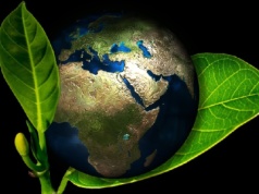 Wraca „nawrócenie ekologiczne”. Papież poświęci centrum „Laudato Si’”