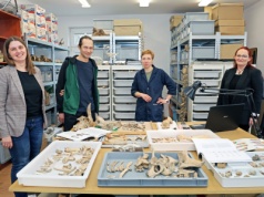 Naukowcy z UMK zaczynają badania wielkich epidemii. Kapsułą czasu są zęby i kości [wideo]