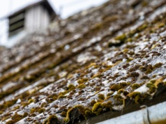 Tyle milionów na usuwanie azbestu w 2025 roku. Padła zaskakująca kwota