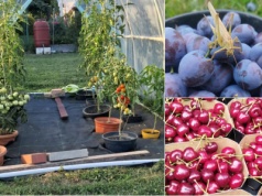 Wakacje poświęcili na zarobek. Tarnowscy studenci opowiadają o pracy sezonowej