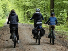 Mandat za wjazd rowerem do lasu? Rowerzyści zaskoczeni