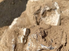 Archeologiczny przełom w Gruzji. Nowe dowody wywracają historię Homo erectus