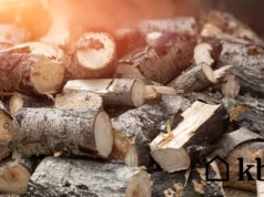 Eksperci ostrzegają: to drewno tworzy najwięcej sadzy w kominie