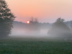 Pogoda na czwartek. Wysoka temperatura i wieczorna mgła