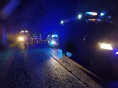 Samochód osobowy rozbił się na drzewie, kierowca zdołał wyjść o własnych siłach