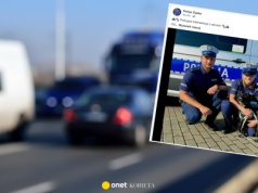 Policjanci z Zabrza uratowali psa. "Zwierzę było zdezorientowane"