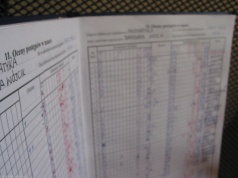 Szkolne oceny pod lupą? "Jest znacząca różnica między 4 plus a 4 minus"