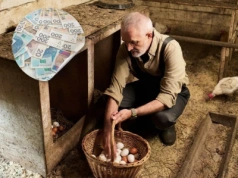 Czy renty KRUS dorównają emeryturom ZUS?