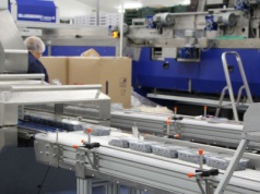 Eksport polskich borówek do Azji — rynek otwarty dla producentów